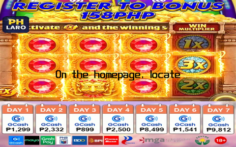 On the homepage, locate the login button, which is usually positioned at the top right corner of the screen