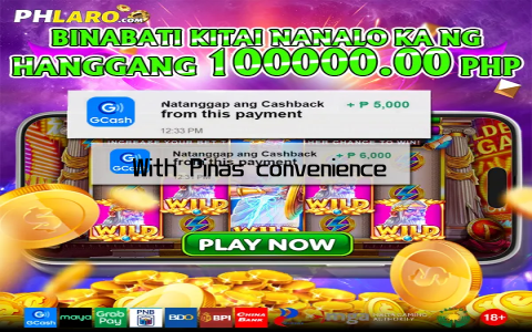 With Pinas convenience and security go hand in hand, making it the ideal choice for modern users